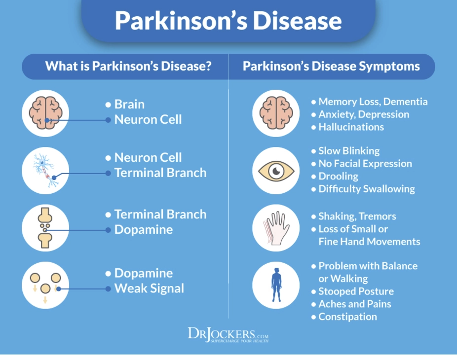 Parkinsonismo e o Meio Ambiente: Fatores que Podem Aumentar o Risco